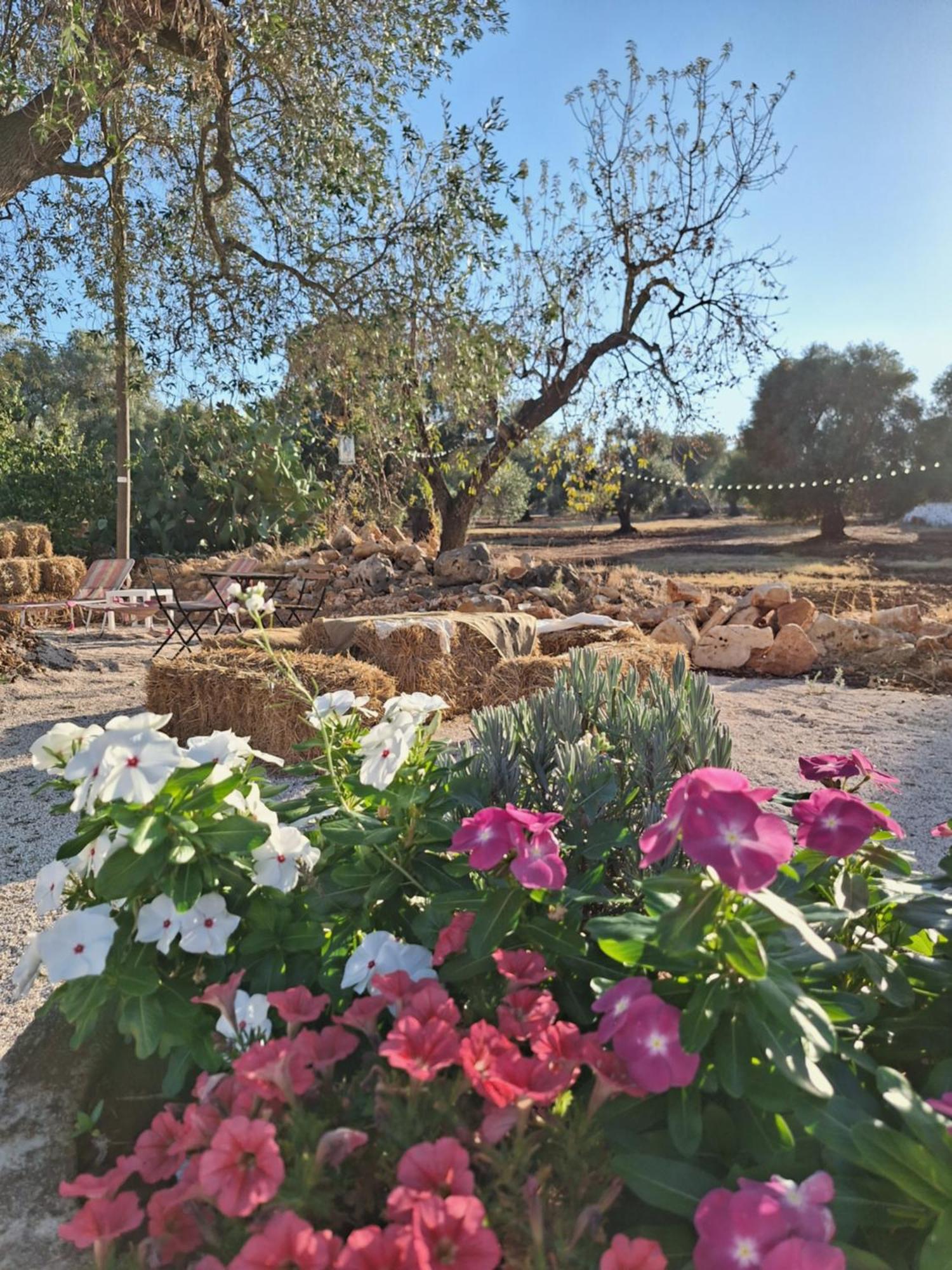Residenza Anima Mediterranea ฟรานกาวิลลา ฟอนตานา ภายนอก รูปภาพ